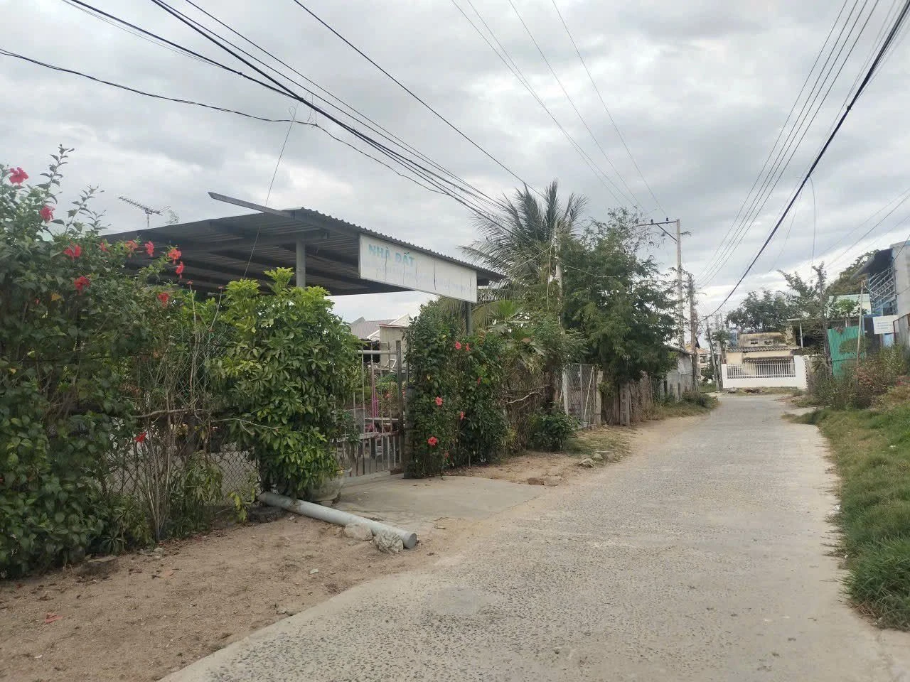 Bán lô đất thổ cư 100m² Ninh Hải Khánh Hòa - Ảnh 1