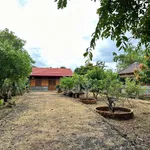 Nhà vườn Buôn Ma Thuột 1 sào đất, 64m² thổ cư, 3,65 tỷ - Ảnh thu nhỏ 4