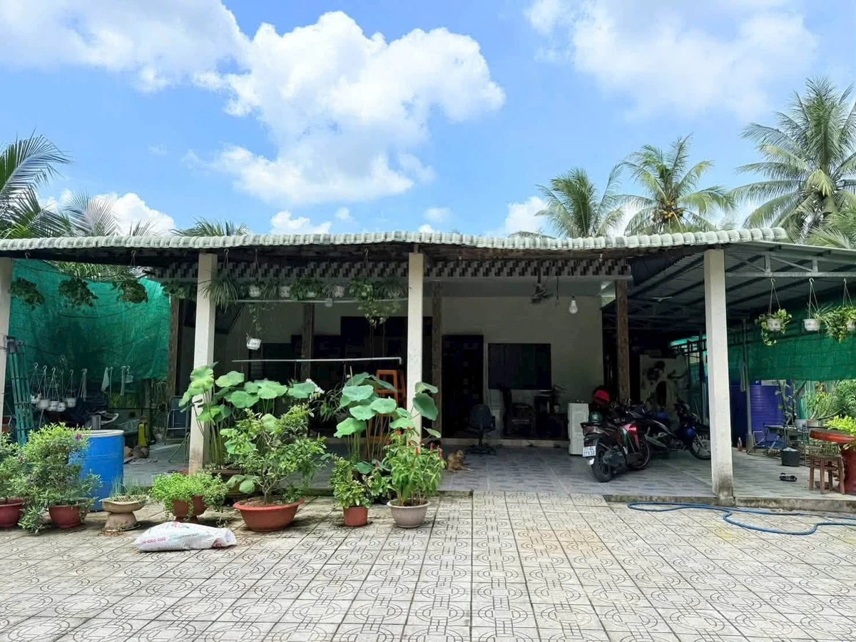 Bán biệt thự vườn An Khánh 1000m2 tại Bến Tre - Ảnh thu nhỏ 3