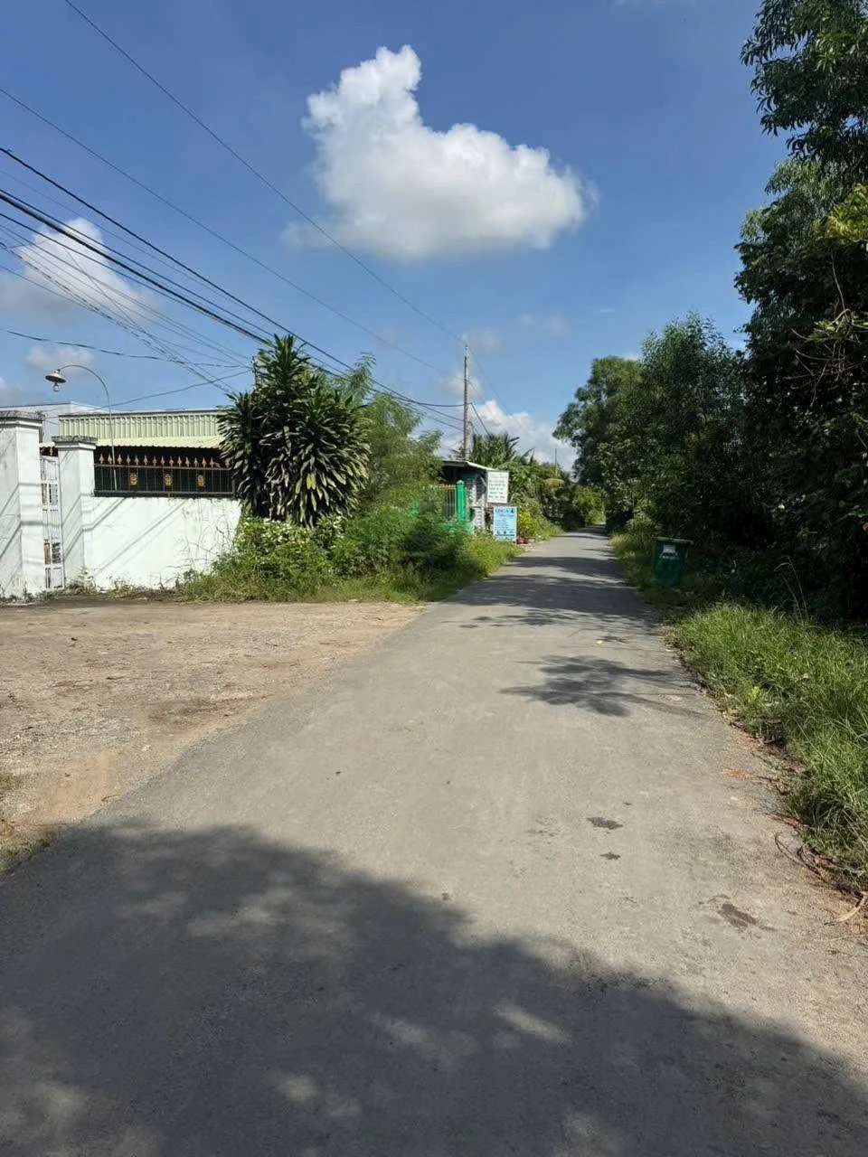 Bán 1000m² đất lúa mặt kênh Bến Lức Long An - Ảnh 1