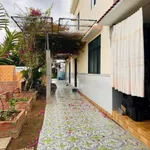 Bán nhà đất 1700m2 xã Phú Túc Hóc Môn 2 tỷ 580 triệu - Ảnh thu nhỏ 5