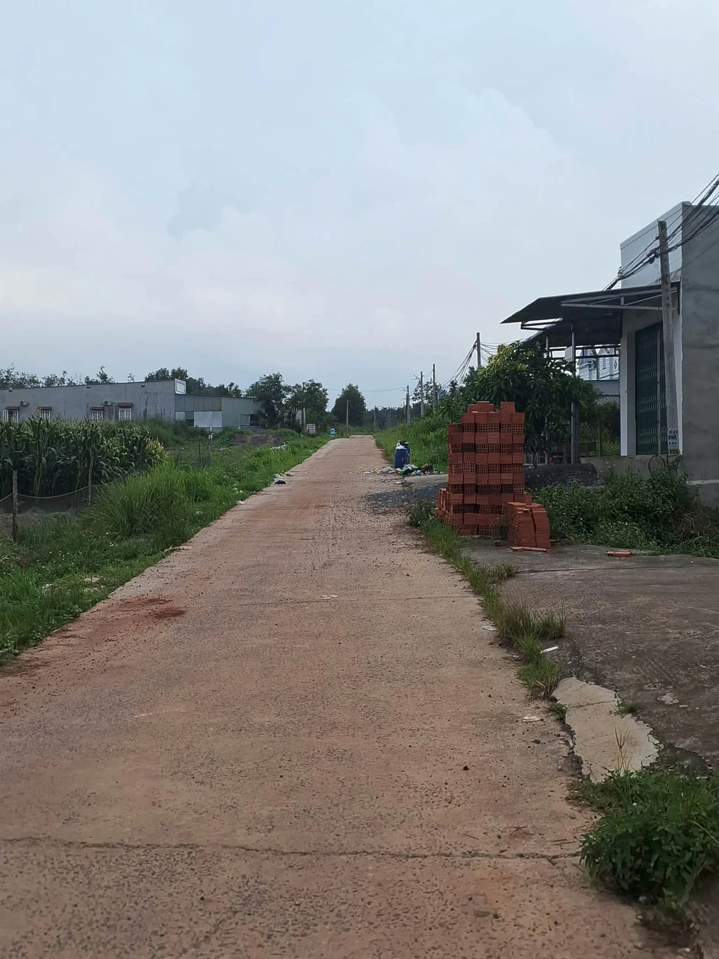 Bán đất 78m² 290 triệu gần KCN Minh Hưng Hàn Quốc - Ảnh 1