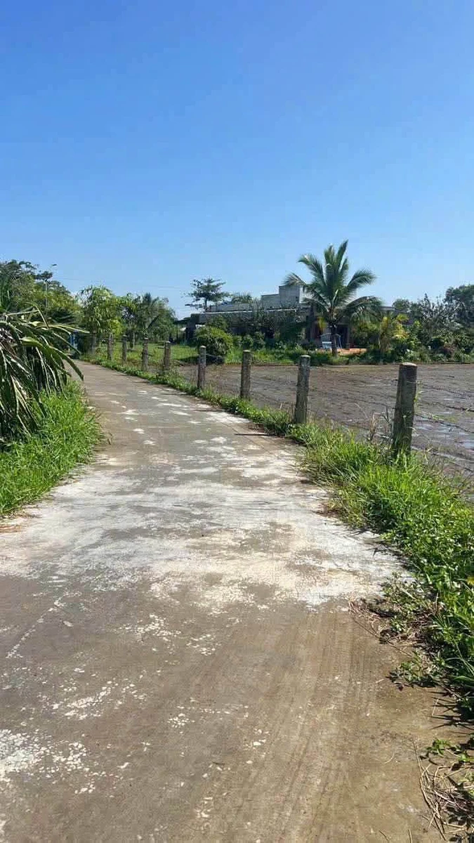 Bán đất nền 839m2 ở Lâm Đồng gần ngã tư Tân Nông - Ảnh thu nhỏ 3