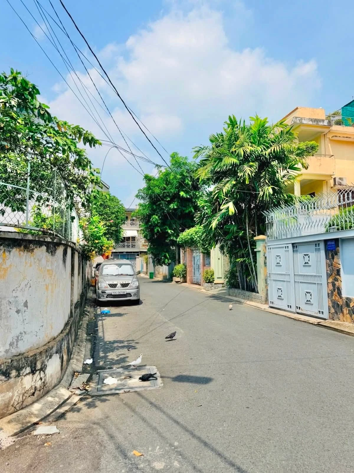 Bán nhà 500m2 góc đường Tân Bình 78 tỷ - Ảnh 1
