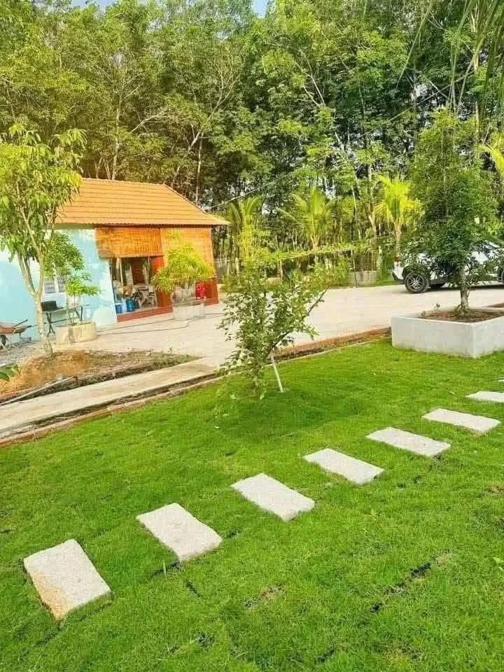 Bán nhà vườn An Điền 1.411m2 giá 4,5 tỷ - Ảnh thu nhỏ 3