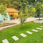 Bán nhà vườn An Điền 1.411m2 giá 4,5 tỷ - Ảnh thu nhỏ 3