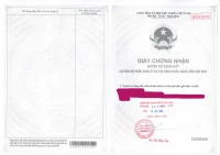 Bán QSDĐ tại thửa đất số: 239, tờ bản đồ số: 13 P.Mỹ Quý, TP.Long Xuyên, T.An Giang - Ảnh thu nhỏ 4