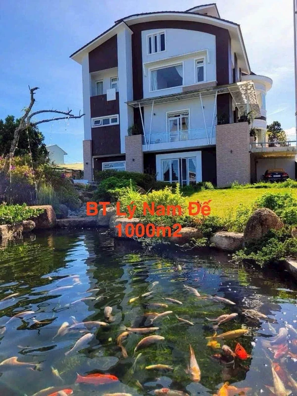Bán biệt thự 1000m2 sân vườn, 2 mặt tiền Đà Lạt