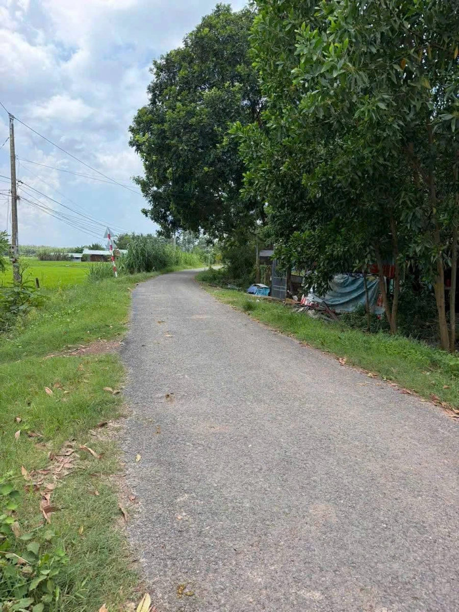 Bán lô đất 729m² Châu Thành Tây Ninh 299 triệu - Ảnh 1