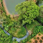 Bán đất vườn sinh thái 3.866m² Buôn Ma Thuột 8 tỷ - Ảnh thu nhỏ 4