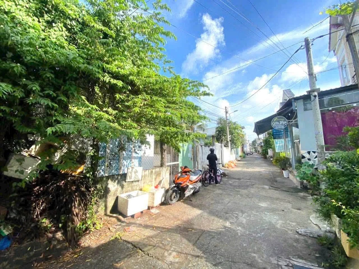 Bán dãy trọ 250m² Phường Tân An Cần Thơ 4,8 tỷ - Ảnh thu nhỏ 3