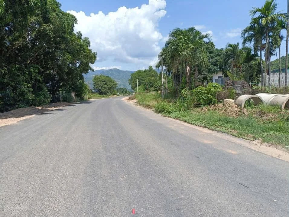 Bán đất mặt tiền Tỉnh Lộ 3 5000m² Cam Lâm Khánh Hòa 9,5 tỷ - Ảnh thu nhỏ 2