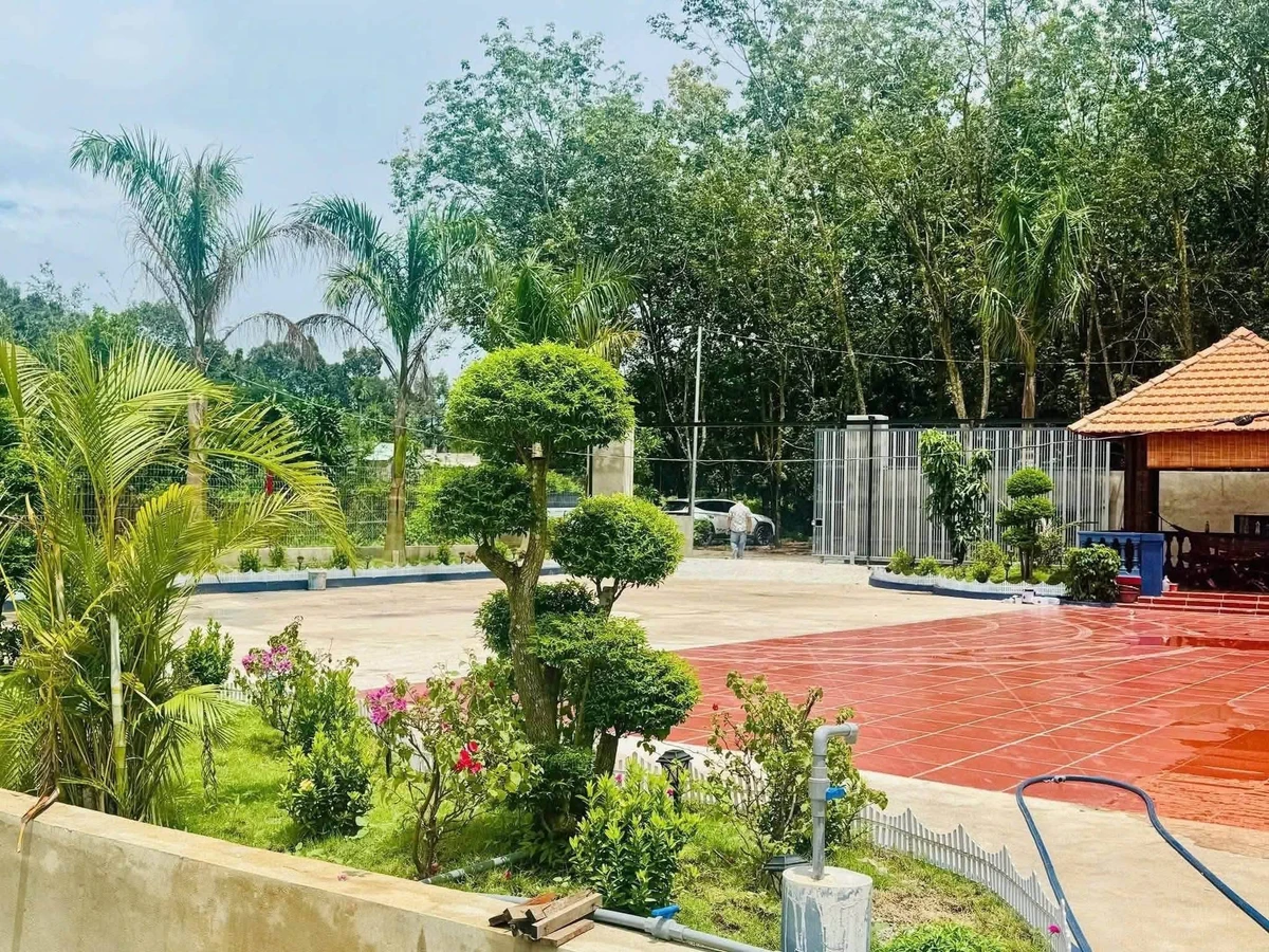 Bán đất vườn An Thái Phú Giáo 1.800m² giá 3,5 tỷ - Ảnh 1