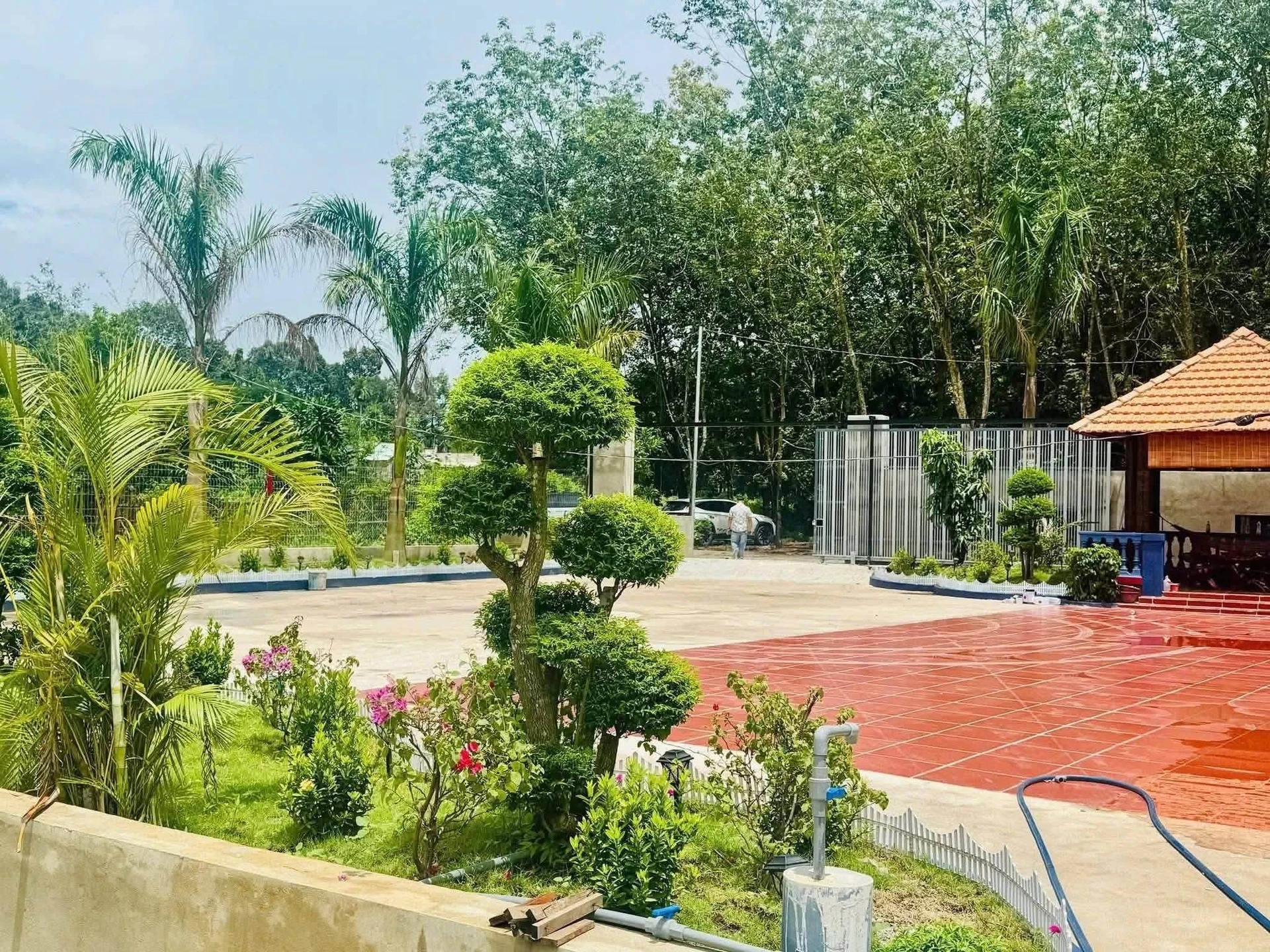 Bán đất vườn An Thái Phú Giáo 1.800m² giá 3,5 tỷ - Ảnh 1