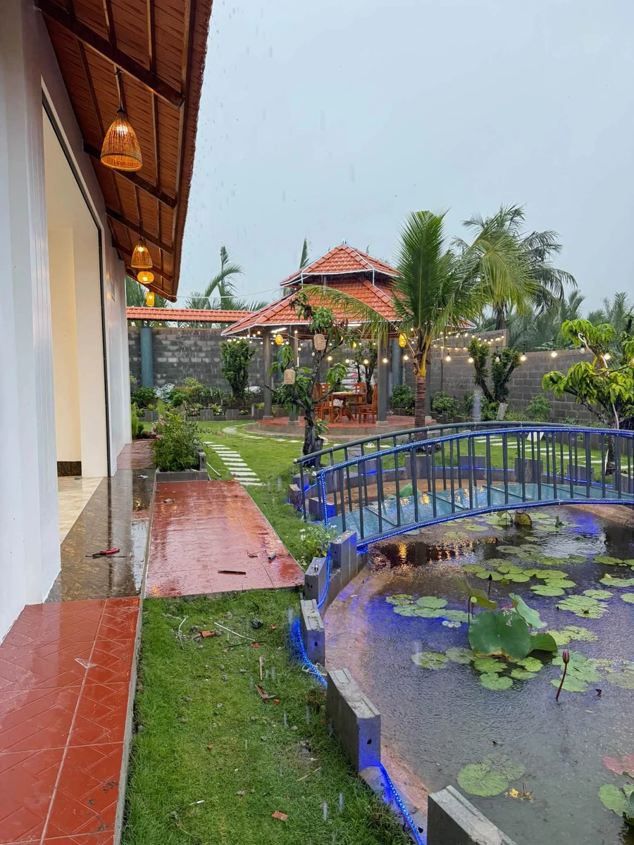 Nhà vườn mái ngói 1.900m² ven sông Vàm Cỏ Tây, Long An - 5.9 tỷ - Ảnh thu nhỏ 3