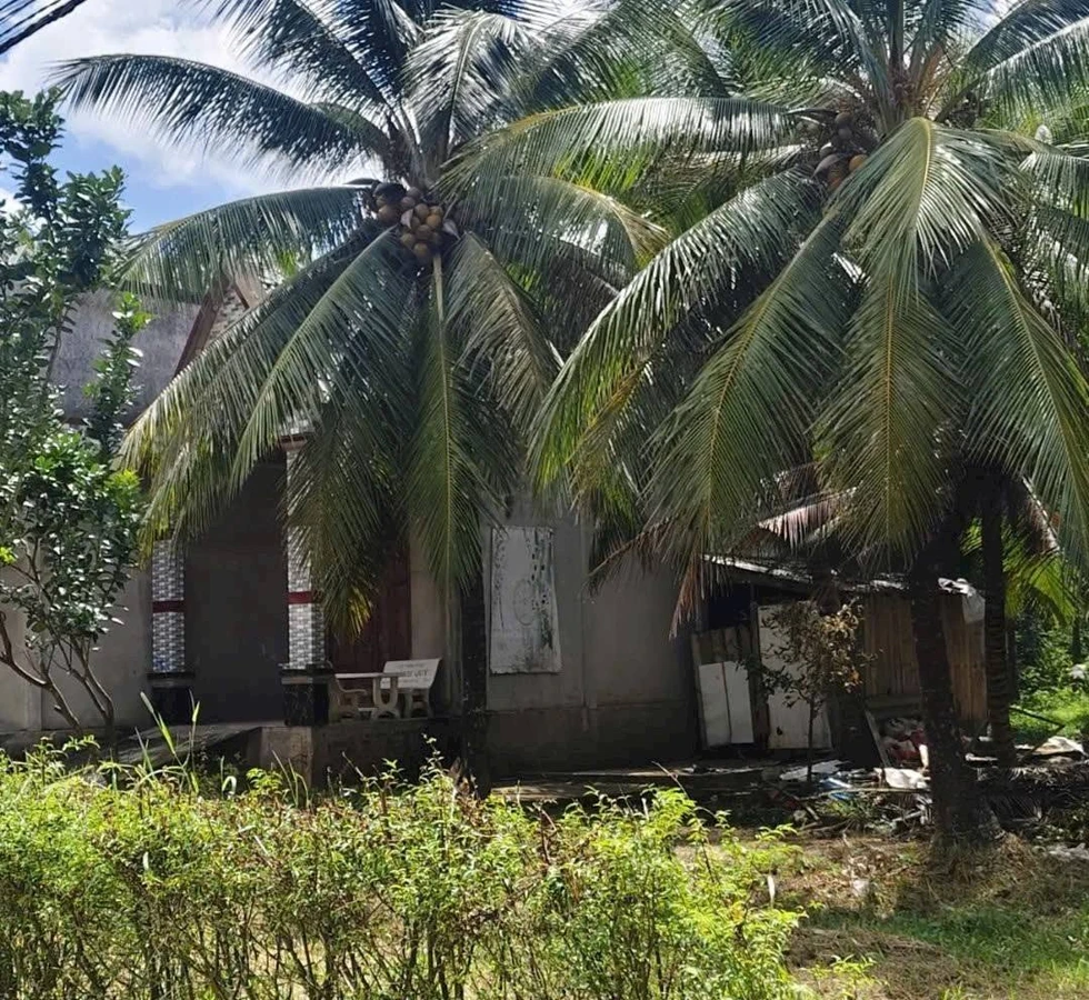 Bán đất 866,7m² sát chợ Cẩm Sơn, Bà Rịa - Vũng Tàu, 1 tỷ 590 triệu - Ảnh thu nhỏ 3