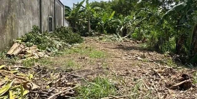 Bán đất mặt tiền Bầu Trâm Long Khánh 200m² - Ảnh thu nhỏ 2