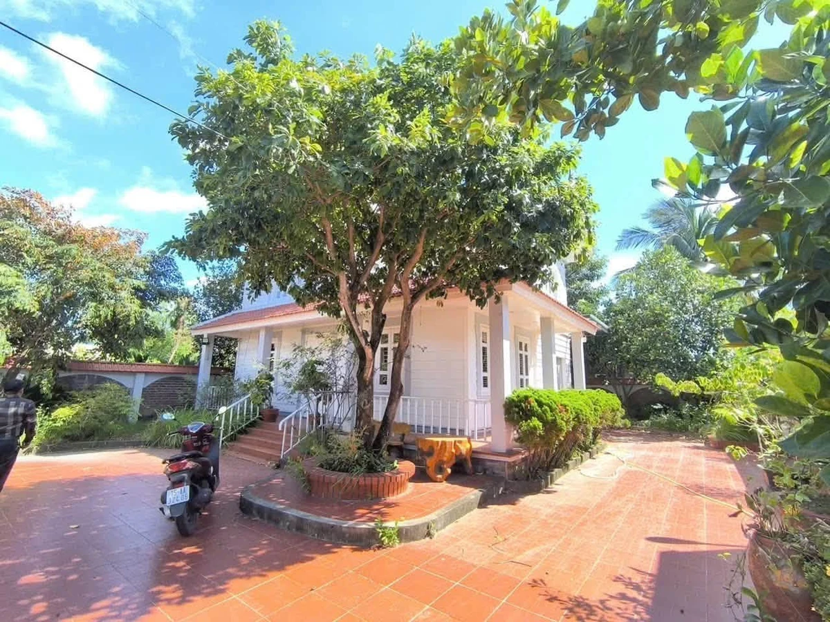 Bán biệt thự Dương Kinh 400m² thổ cư đường Hòa Nghĩa - Ảnh thu nhỏ 3