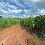 Bán đất 300m2 thổ cư Cần Giờ 3 tỷ 5 - Ảnh thu nhỏ 2