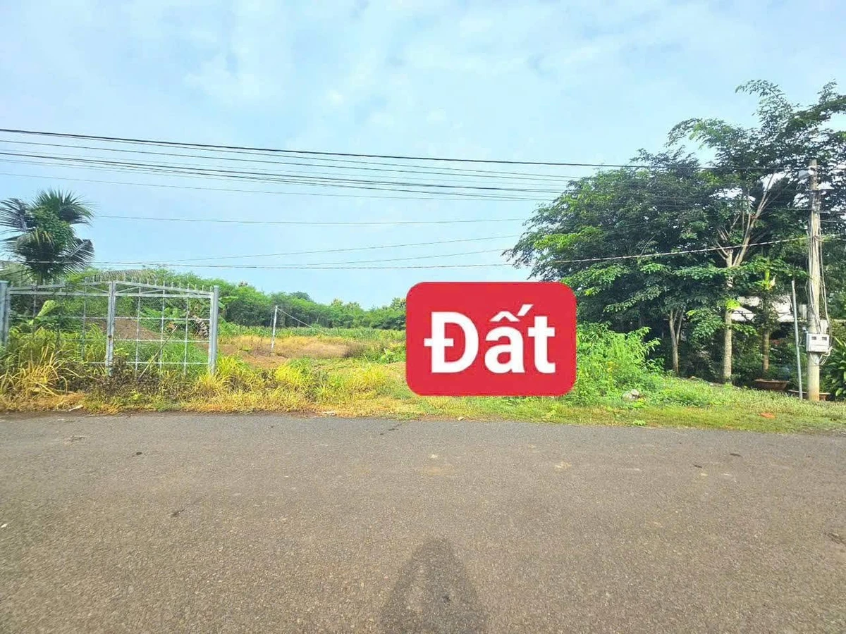 Bán đất mặt tiền 50m² Phường An Lộc, Đồng Nai, giá 250 triệu - Ảnh 1
