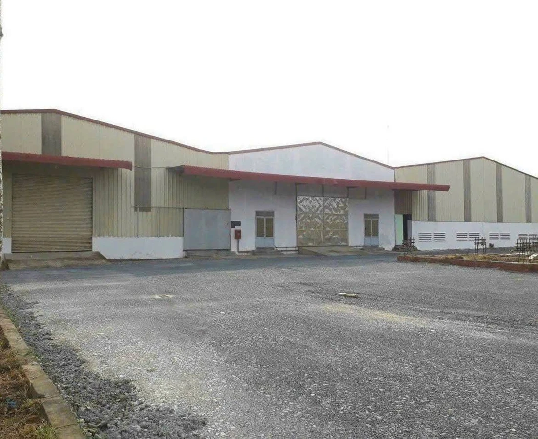 Bán đất xưởng 17.500m² Phường 5 Tân An - Ảnh thu nhỏ 3