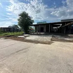 Bán đất 12x40m có nhà sẵn, full thổ cư sổ hồng riêng tại xã Mỹ Hạnh, giá 3,5 tỷ - Ảnh thu nhỏ 4