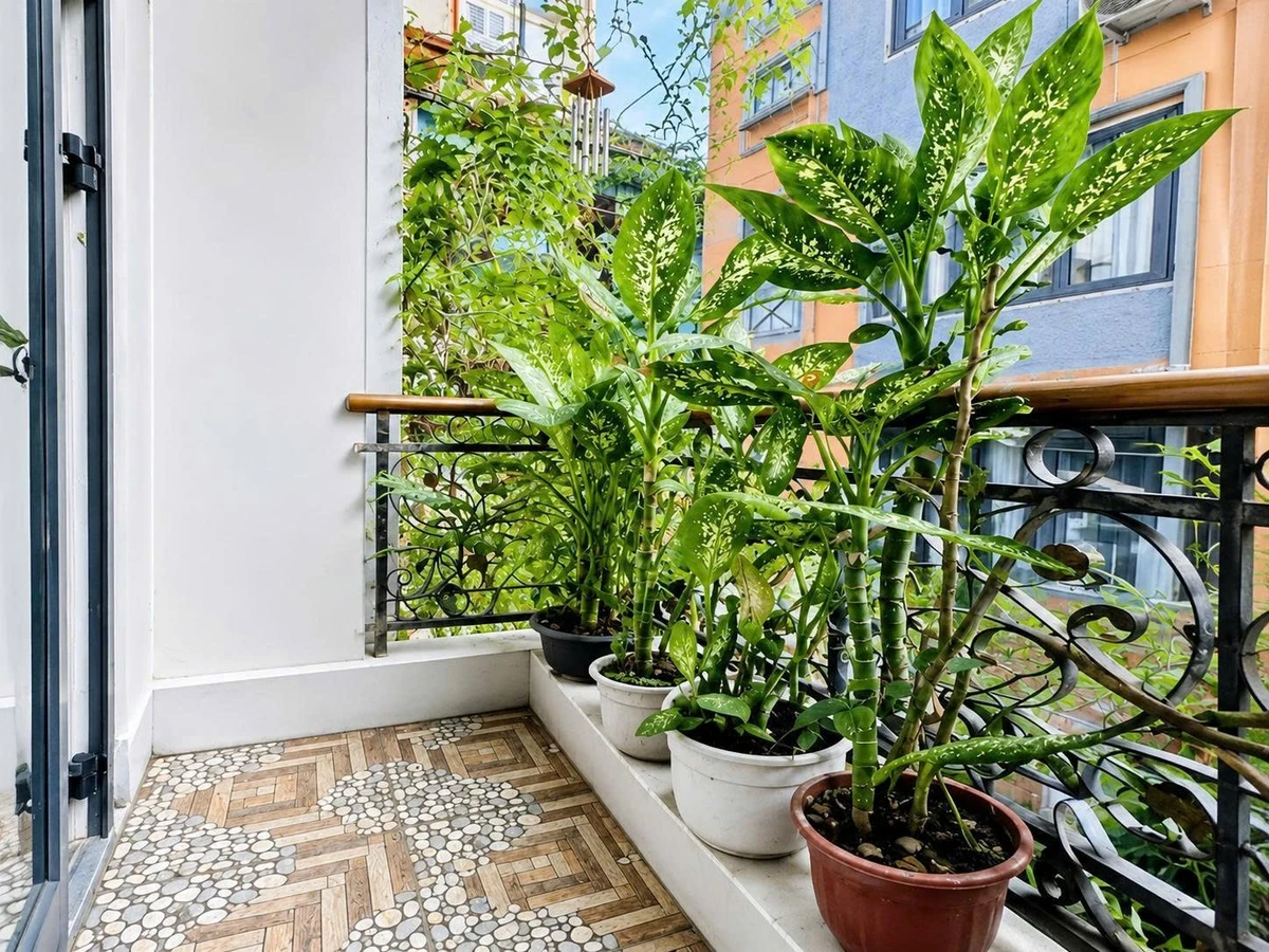 Bán nhà phố 40m2 2 PN Nguyễn Thị Minh Khai Q3 - Ảnh thu nhỏ 5