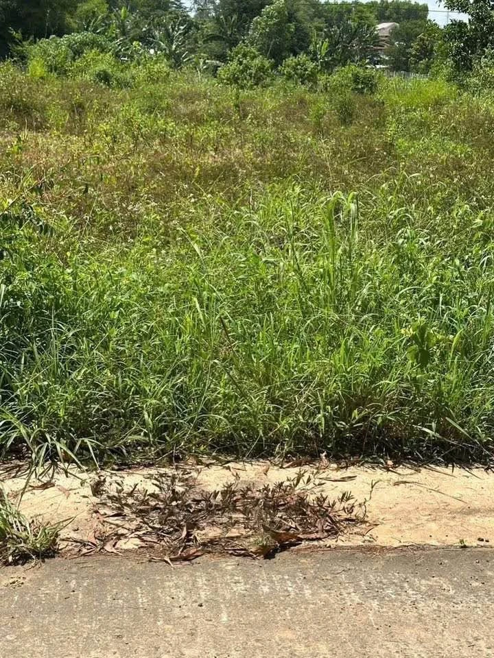 Bán đất Xuân Thọ 5×38m (190m²), 690 triệu, sổ riêng - Ảnh thu nhỏ 4