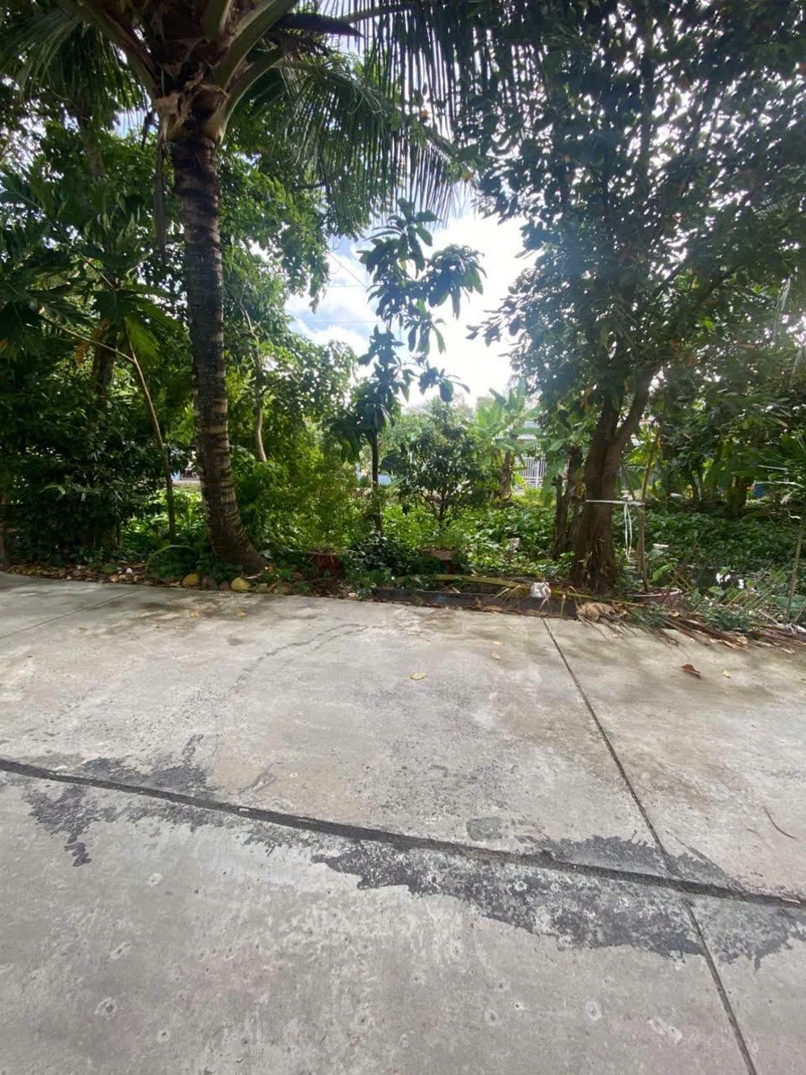 Bán nhà đất mặt tiền Lê Minh Xuân Nhà Bè 145 m² - Ảnh thu nhỏ 4
