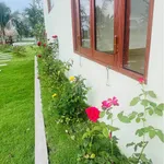 Bán vườn 1.600m² Hàm Chính Bình Thuận 1 tỷ 790 - Ảnh thu nhỏ 4