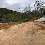 Bán đất 509m2 Xuân Trường Hóc Môn 1,6 tỷ - Ảnh thu nhỏ 3