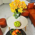 Bán nhà cấp 4 đường Trần Ngọc Sương 63m2, 2PN, nội thất đẹp, giá khoảng 3 tỷ - Ảnh thu nhỏ 2