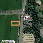 Bán đất mặt tiền đường nhựa 270m² Bình Lãng, Tân Trụ - Ảnh thu nhỏ 3