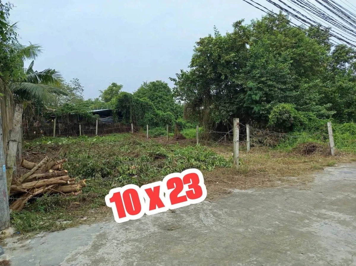 Bán lô đất 230m² Phước Lý Cần Giuộc Tây Ninh - Ảnh thu nhỏ 2