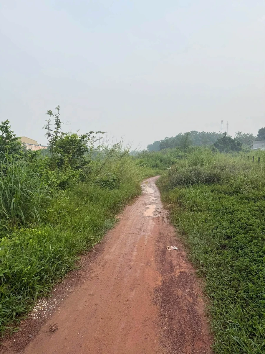Bán đất 2751m2 tại Thới Hoà, Bến Cát, Bình Dương - Ảnh thu nhỏ 4