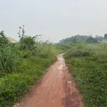 Bán đất 2751m2 tại Thới Hoà, Bến Cát, Bình Dương - Ảnh thu nhỏ 4