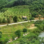 Bán đất làm nhà vườn 1500m² ven suối Nha Trang 799 triệu - Ảnh thu nhỏ 4