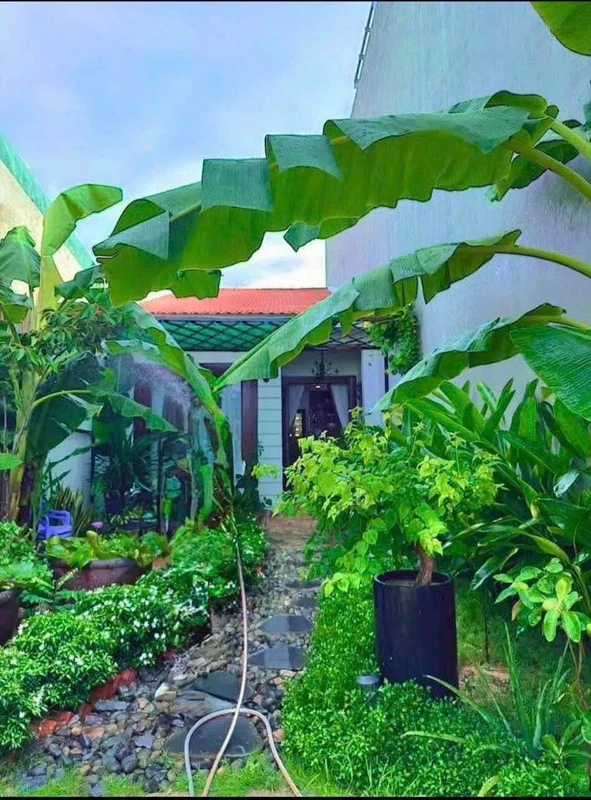 Nhà vườn trệt 99m2 mặt tiền, Phan Thiết, Lâm Đồng