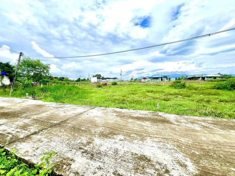 Bán đất quy hoạch 315m2, 350 triệu Hàm Chính