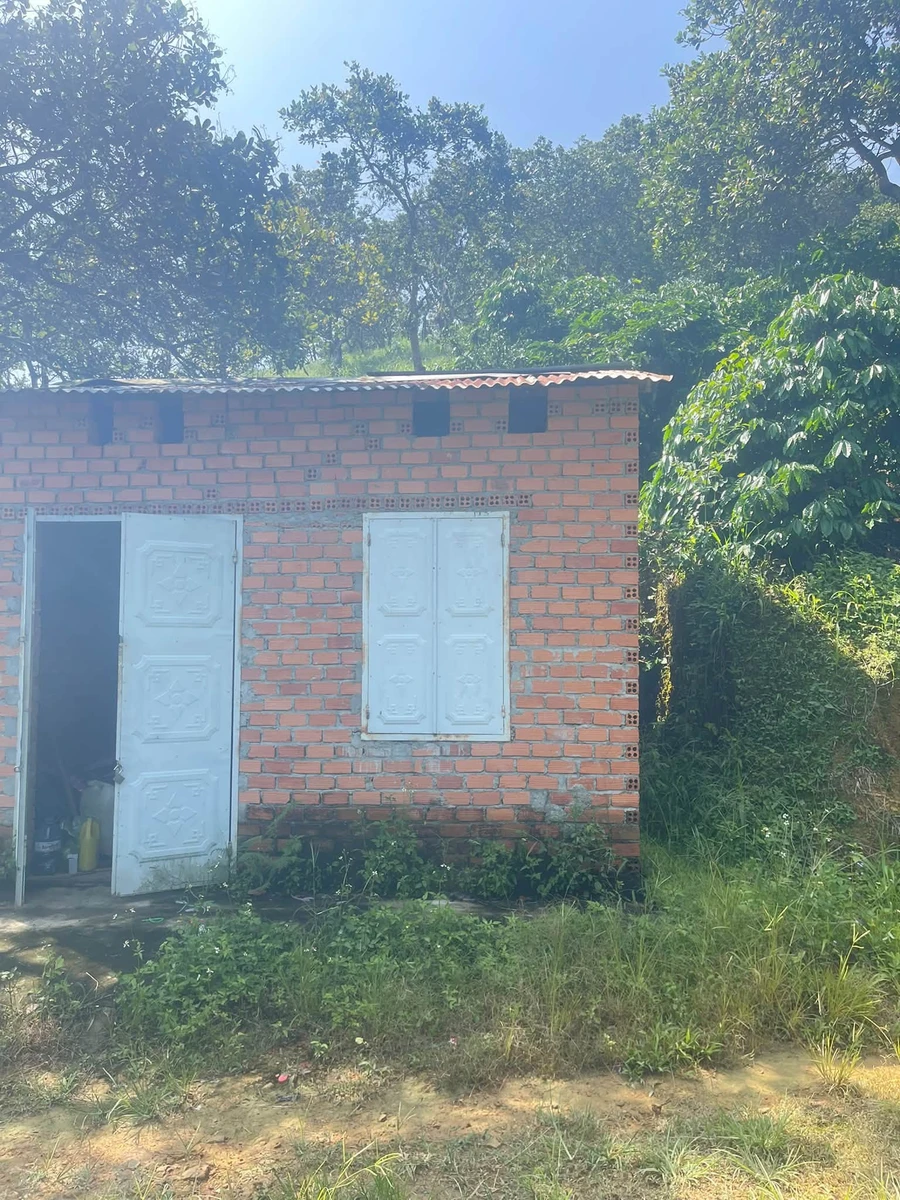 Bán đất rẫy 1 hecta tại Trúc Sơn, Lâm Đồng - Ảnh thu nhỏ 5