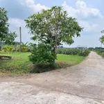 Bán lô đất vườn 1,8 sào full thổ cư Cần Giờ 599 triệu - Ảnh thu nhỏ 2