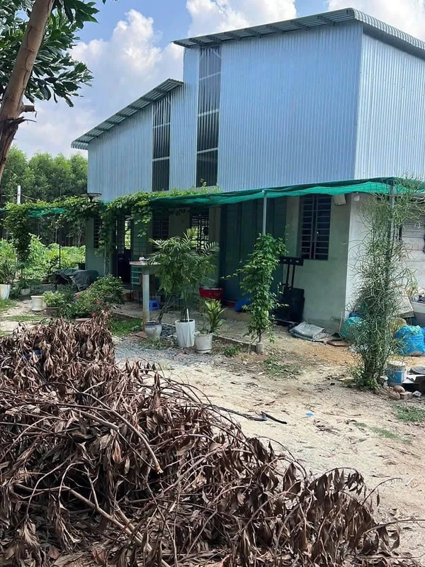 Bán đất nền 200m2 Phường 7 Tân An 1 tỷ 650 404m
