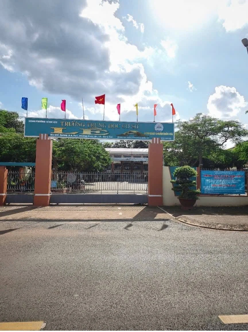Bán đất nền 135m² mặt tiền 16m Bình Lộc 650 triệu - Ảnh thu nhỏ 4