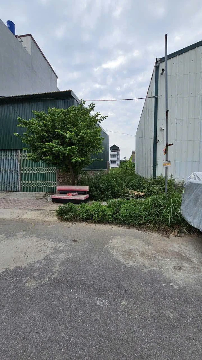 Bán đất 58m² Song Phương 90tr/m², Bình Chánh - Ảnh thu nhỏ 2