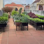 Bán nhà hẻm ô tô 145m² 5 phòng ngủ đường 30/4 Vũng Tàu - Ảnh thu nhỏ 4