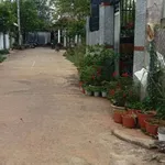 Bán nhà mái Thái 3PN 7x23m (161m2) nhánh Hương Lộ 3, Hòa Long, Bà Rịa, giá 1,95 tỷ - Ảnh thu nhỏ 1
