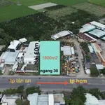 Bán đất 1800m2 mặt tiền Quốc Lộ 1A Long An - Ảnh thu nhỏ 1