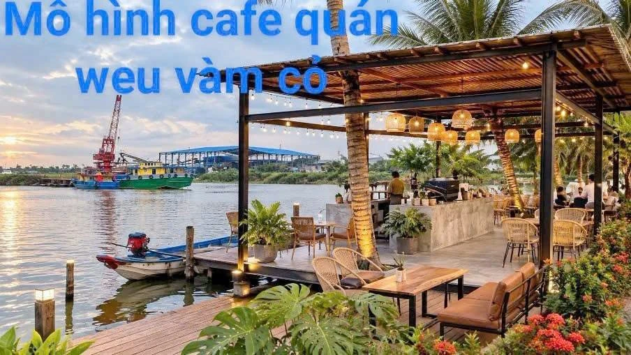 Bán đất mặt tiền sông Vàm Cỏ 1.300m² Cần Giờ 1,6 tỷ - Ảnh 1