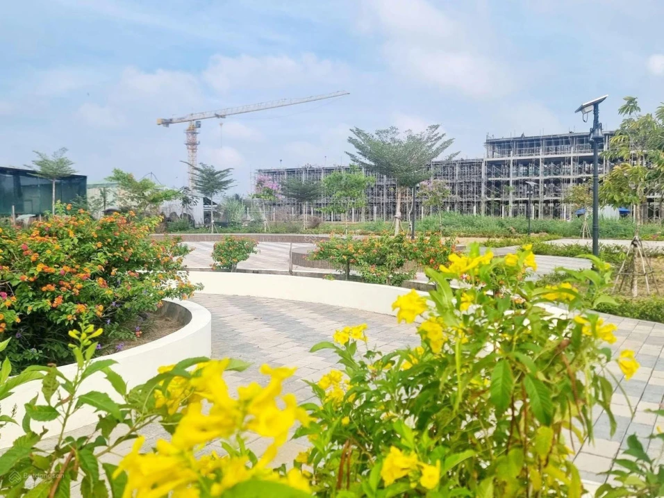Chính chủ bán gấp lô đất nền Vị Thanh 95m² full thổ, giá công khai 1,2 tỷ có đàm phán - Ảnh thu nhỏ 4