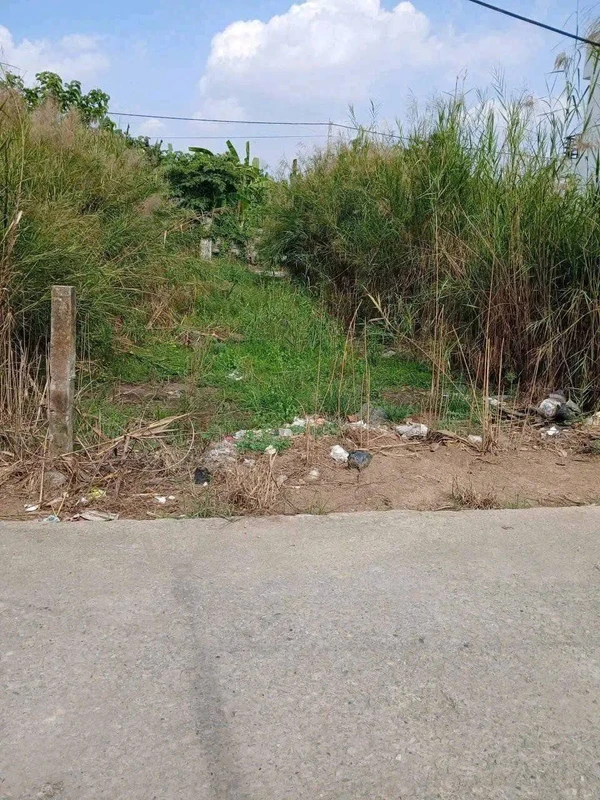 Bán nền thổ cư 5x23m giá 750 triệu tại Thủ Thừa, Tây Ninh